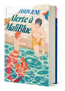 Alerte  MaliBlue