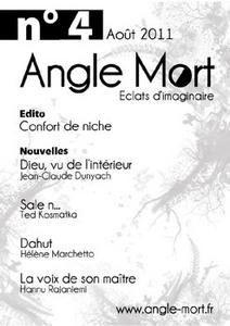 Angle mort n 4