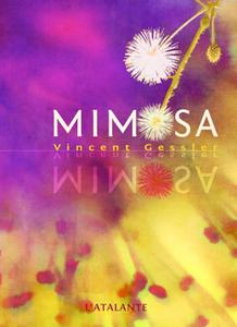 Mimosa