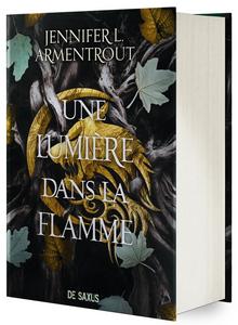 Une lumire dans la flamme
