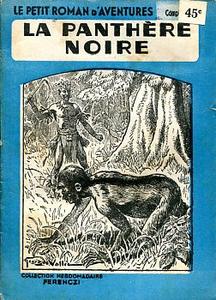 La Panthre noire