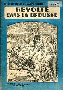 Rvolte dans la brousse