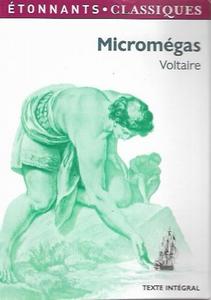 Micromgas