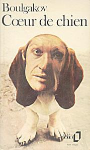Coeur de chien