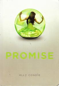 Promise