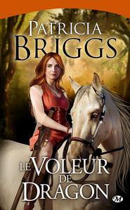 Le Voleur de Dragon