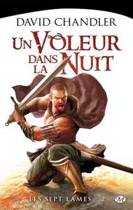 Un Voleur dans la nuit