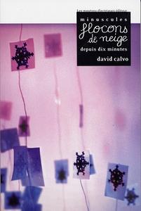 Minuscules flocons de neige depuis dix minutes