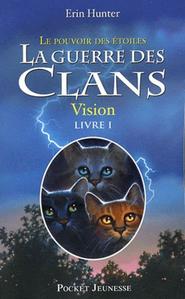 Vision