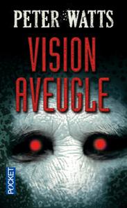Vision aveugle