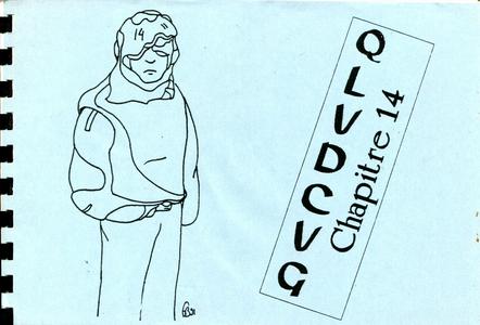 QLVDCVG n 14